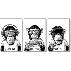 3 Macacos - Fundo Branco