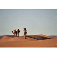 Deserto do Sahara