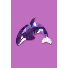 Orca Geométrica