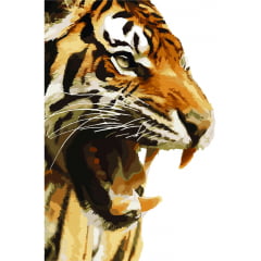 Tigre Oriental